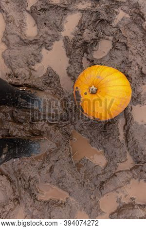 A Close Up View Of A Orange Pumkin Sitting In A Muddy Field On A Cold Autunm Day With Black Rubber B