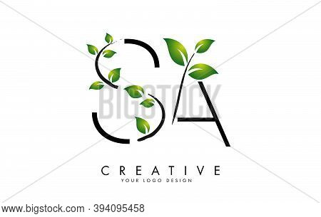 Leaf Letters Sa S A Logo Design With Green Leaves On A Branch. Letters Sa S A With Nature Concept. E