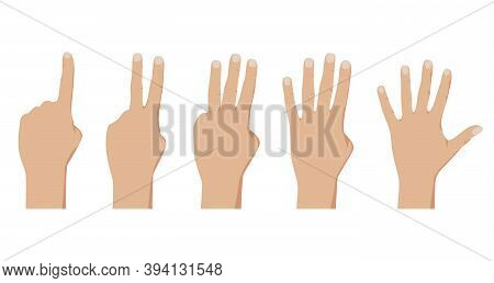 Counting From One To Five. Realistic People Hands Gestures. Cector Illustration Isolated On White Ba