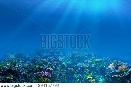 High Definition Images Of Sunlight Streaming Into The Ocean Floor