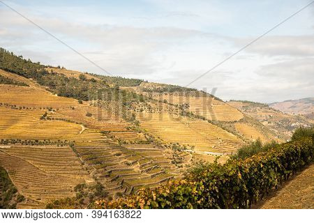Top View Of River, The Hills With The 