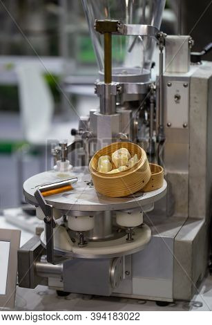 Food Processing Machine For Dumpling And Dim Sum. Business Food Industry