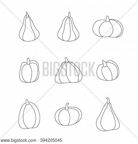 Pumpkin Icons Isolated On A White Background. Children S Flat Illustration. Autumn Mood.