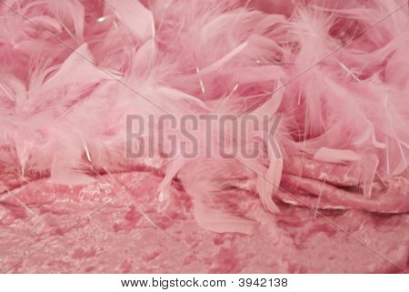 Rosa Feder und Velvet Hintergrund