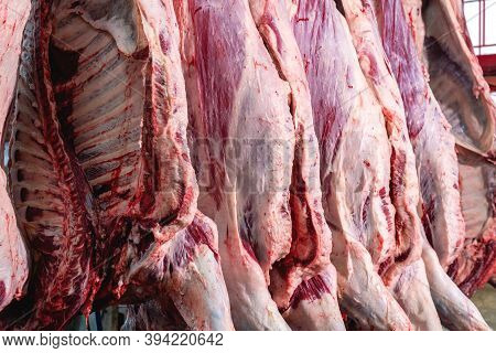 Close Up Meat Industry, Meats Hanging In The Slaughterhouse.