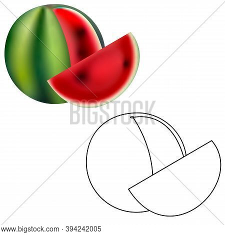Watermelon Fruit. Realistic 3d And Line Sweet Dessert Ripe Food. Healthy Juicy Summer Berry, Vacatio