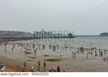 Workers Cleaning Sea Lettuce Algal Bloom At Qingdao City Beach In China