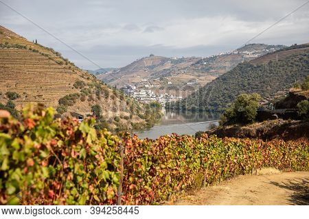 Top View Of River, The Hills With The 