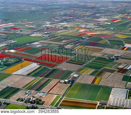 Lisse, Holland, May 12 - 1986: Historical aerial photo of the flower fields near Lisse and Voorhout, the Beekpolder