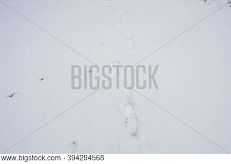 Footprints In The Snow. Hello Winter Concept, . High Quality Photo