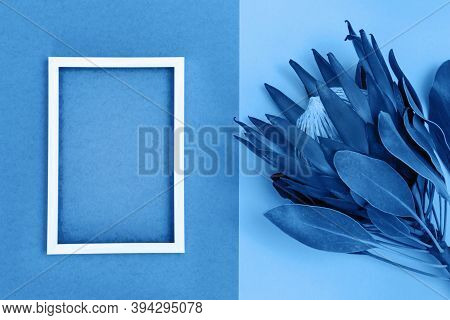Big Exotic Flower Protea With Red Petals And White Metal Frame On Yellow And Blue Paper Background. 
