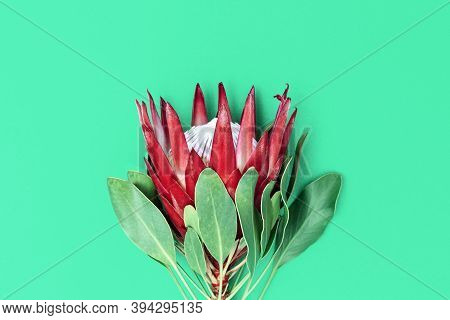 Exotic Big Flower Protea With Red Petals And Green Leaves On Bright Paper Background. Holiday Concep