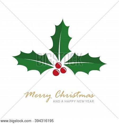 Christmas Holly Berry Isoladet On White Vector Illustration Eps10