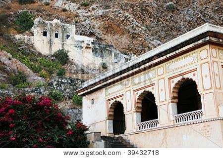 Monkey temple Galwar Bagh i Jaipur, Indien