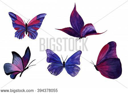 Set Of Watercolor Butterflies On A Transparent Background