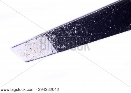 Tweezer Tips Covered In Tiny Fine Feathers From Butterfly Wings