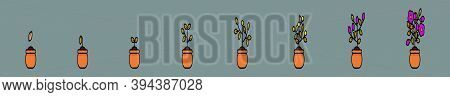 Set Of Life Cycle Plant In Pots. Cartoon Icon Design Template With Various Models. Modern Vector Ill