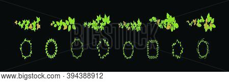 Ivy Wall Hanging Plants. Cartoon Icon Design Template With Various Models. Modern Vector Illustratio