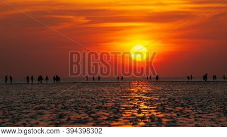 Panoramic View On People At The Beach And Watt In Front Of Thr Setting Sun.