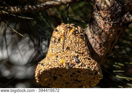 Bell From Various Grains, A Delicacy For All The Birds In The Garden