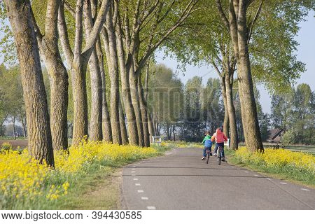 Yellow Flowers And Colorful Children On Bicycle On Country Road In Spring Near Leerdam In The Nether