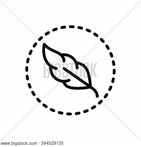 Black Line Icon For Soft Feather Bland Pulpy Waxen Calligraphy Smooth Fluffy Bird Lightweight