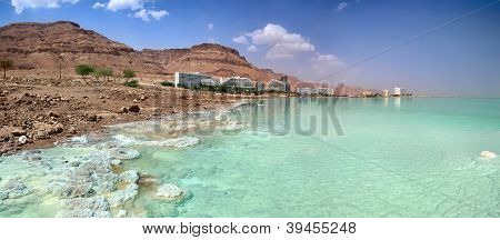 死者の海岸。ホテル。イスラエル