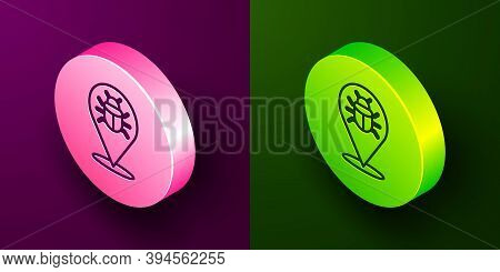 Isometric Line System Bug Concept Icon Isolated On Purple And Green Background. Code Bug Concept. Bu