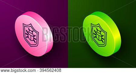 Isometric Line System Bug Concept Icon Isolated On Purple And Green Background. Code Bug Concept. Bu