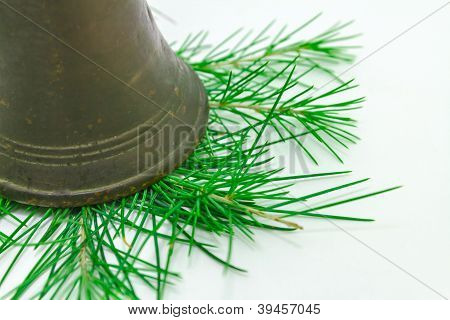 Vánoční jehličnany