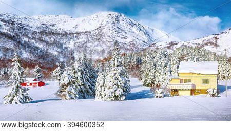 Gorgeous Winter Scenery With Traditional Norwegian Wooden Houses And Pine Trees Near Valberg Village