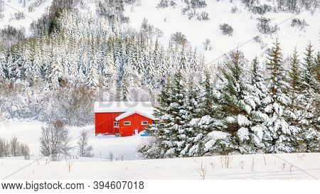 Gorgeous Winter Scenery With Traditional Norwegian Wooden Houses And Pine Trees Near Valberg Village