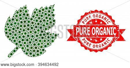 Vector Mosaic Grape Leaf Of Sars Virus, And Pure Organic Unclean Ribbon Stamp Seal. Virus Cells Insi