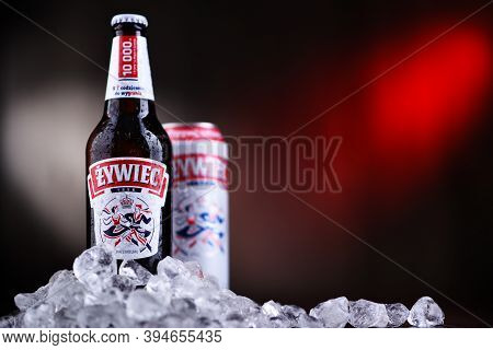 Bottle And Can Of Zywiec Beer