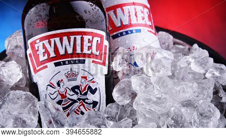 Bottle And Can Of Zywiec Beer In Bucket With Crushed Ice