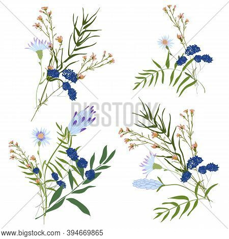 Hand Drawn Flower Collection. Various Flowers From Fields And Meadows In Bouquets. Big Botanical Set