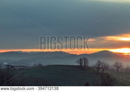 Foggy Winter Sunrise In The Collio Friulano, Italy