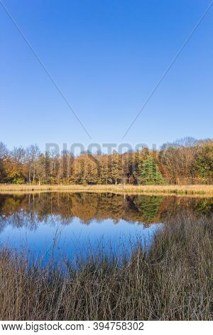 Little Lake In The Nature Preserve Of Borger, Netherlands
