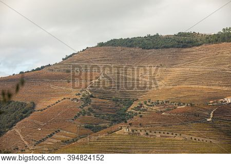 Top View Of River, The Hills With The \
