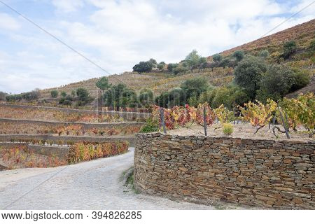 Top View Of River, The Hills With The 
