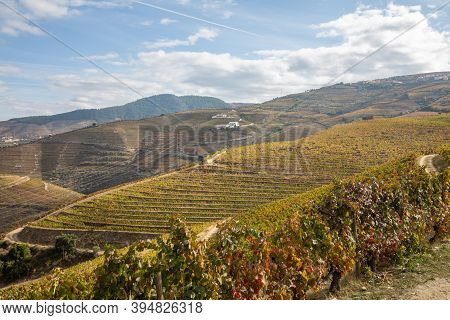 Top View Of River, The Hills With The 