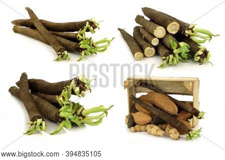 Black salsify on a white background. Some in a wooden crate with other root vegetables