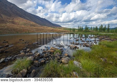 At The Foot Of The Rai Iz Mountain Range On A August Day. Polar Urals. Yanao, Russia