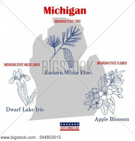 Michigan. Set Of Usa Official State Symbols. Vector Hand Drawn Illustration