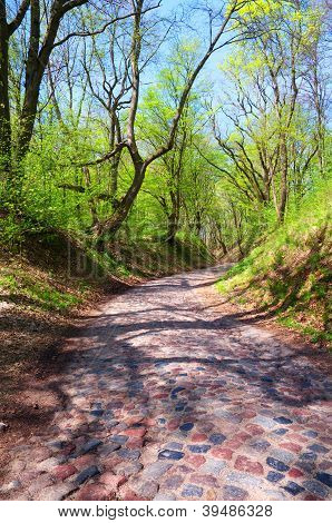 Ancient Stone Road