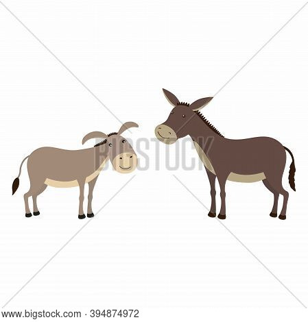 Donkey And Mule, Differences. Vector Illustration Isolated.