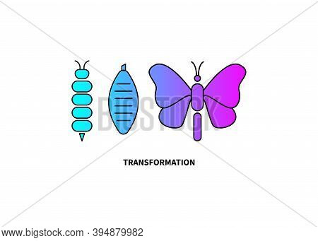 Transformation Concept. Caterpillar, Butterfly, And Cocoon Stages