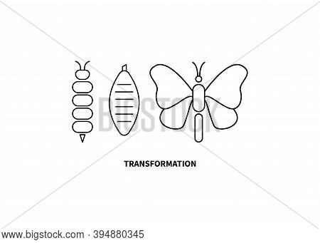 Transformation Concept. Caterpillar, Butterfly, And Cocoon Stages