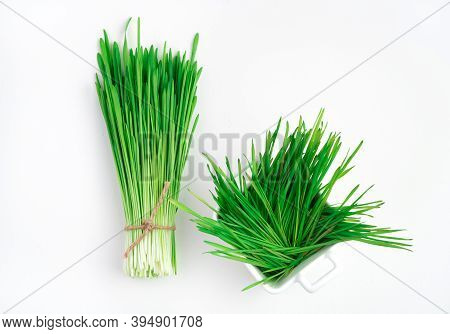 Green Wheat Grass On A White Background.