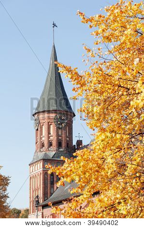 Kant der Kathedrale in Kaliningrad. Russland